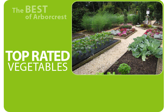 Top 5 Vegetables