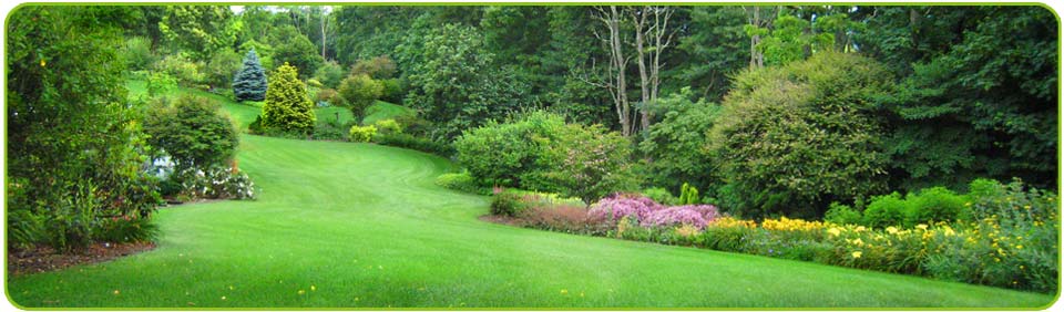 View of Gardens
